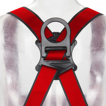 3M1161731保泰特P200五點式全身式安全帶XL紅色圖片2
