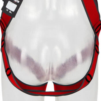 3M1161729保泰特P200五點(diǎn)式全身式安全帶圖片3