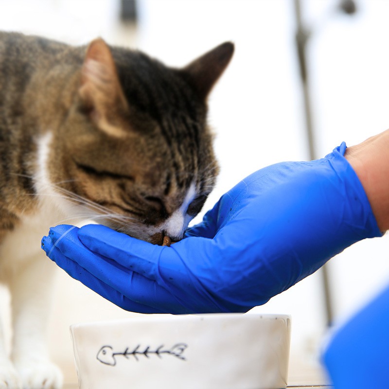 愛(ài)馬斯XNFST44100加厚一次性丁腈手套圖片1