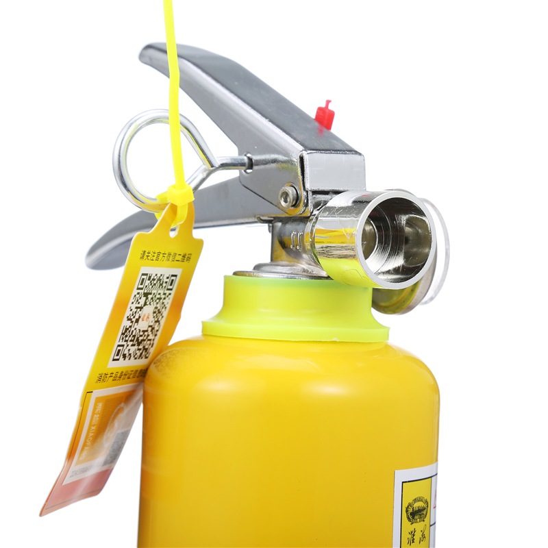 淮海MSWJ500水基車載滅火器圖片2