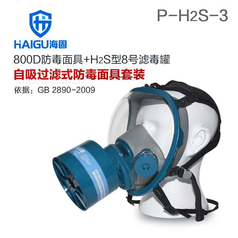 海固HG-800D P-H2S-3硫化氫活性炭防毒面具