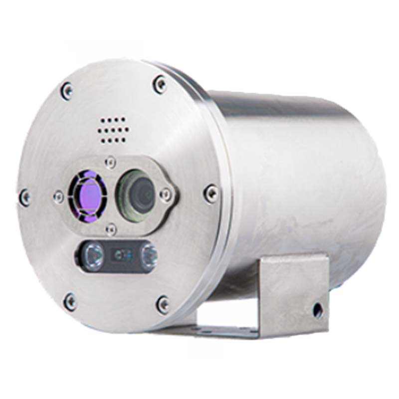 大立DLD-EXS313雙光譜防爆型測溫槍機