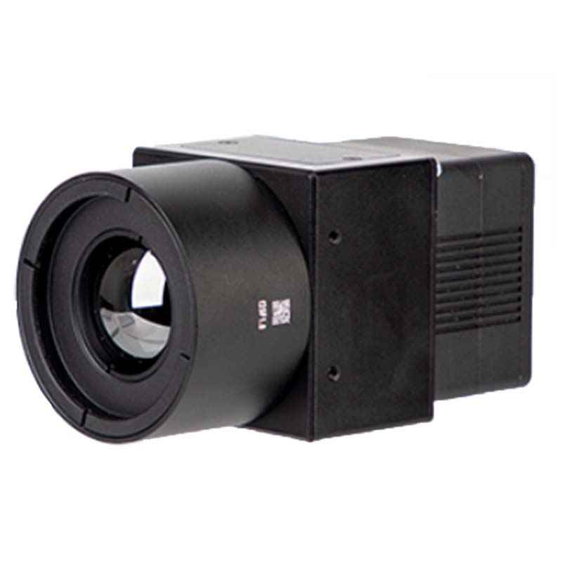 大立DM86G在線超高溫測溫機芯