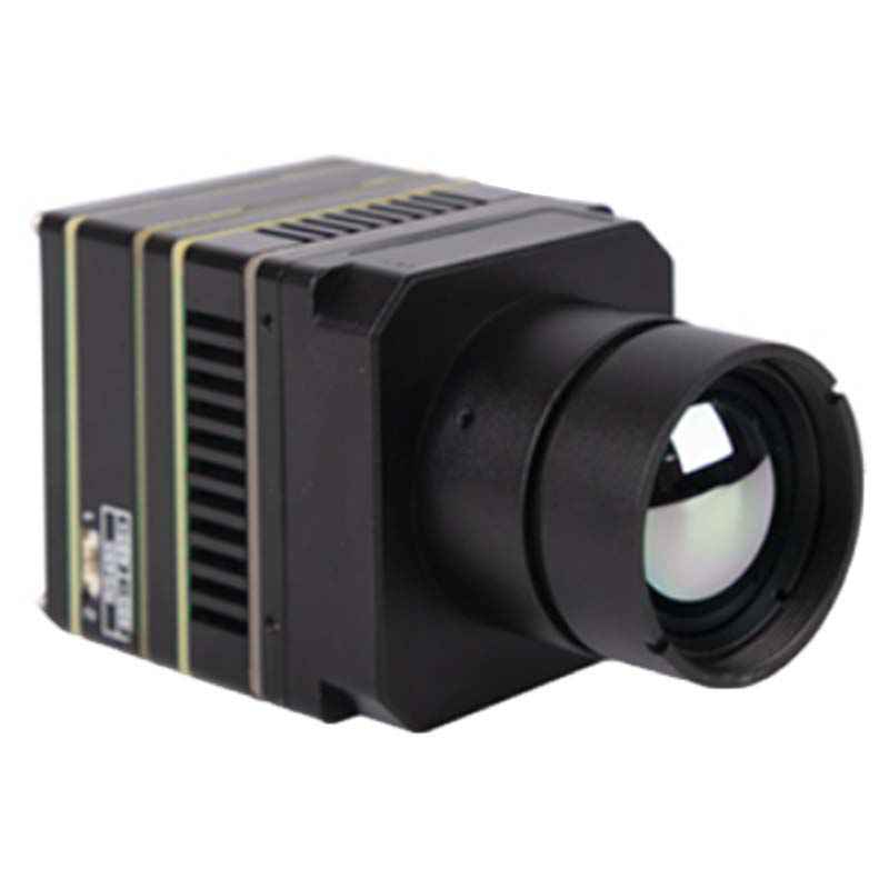 大立VD641NT在線測溫機(jī)芯