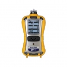 華瑞PGM-6208氣體檢測(cè)儀泵吸式