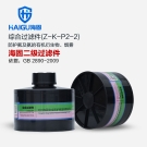 海固Z-K-P2-2二級氨及氨的有機衍生物濾毒罐 海固Z-K-P2-2二級氨及氨的有機衍生物濾毒罐