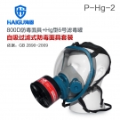 海固HG-800D P-Hg-2全面罩水銀防毒面具 海固HG-800D P-Hg-2全面罩水銀防毒面具