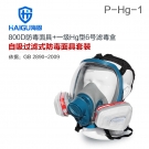 海固HG-800D P-Hg-1全面罩水銀防毒面具 海固HG-800D P-Hg-1全面罩水銀防毒面具