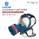 海固HG-800D P-Hg-3全面罩水銀防毒面具