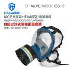 海固HG-800 D-A/B/E/K/H2S/CO-2全面罩綜合防毒面具 海固HG-800 D-A/B/E/K/H2S/CO-2全面罩綜合防毒面具
