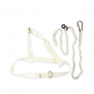 建鋼680110單背安全帶 建鋼680110單背安全帶