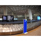 SMACH RC1010通道式放射性監測系統 SMACH RC1010通道式放射性監測系統