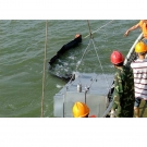 新絡DXS50動態斜面收油機 新絡DXS50動態斜面收油機