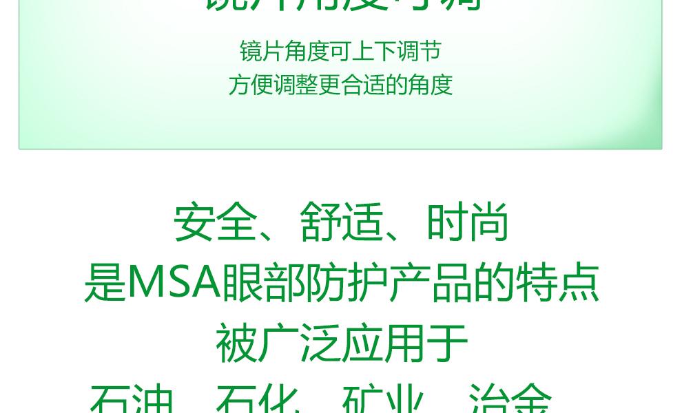 梅思安10108429杰納斯-AG防護眼鏡圖片13