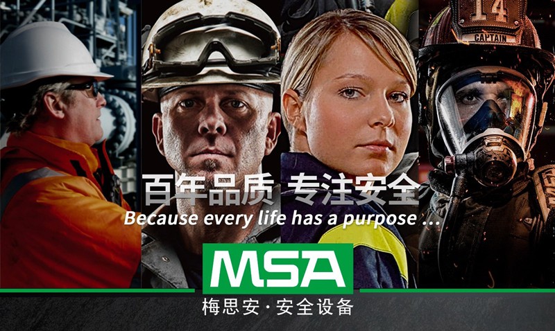 梅思安10196221(國產版)天鷹2XT雙氣體檢測儀圖片1