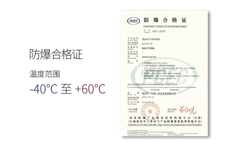 梅思安10196208（國產熒光外殼版）天鷹2XT雙氣體檢測儀圖片7