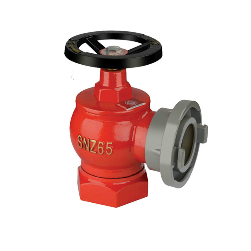 薪薪SNZ65旋轉型室內消火栓圖片