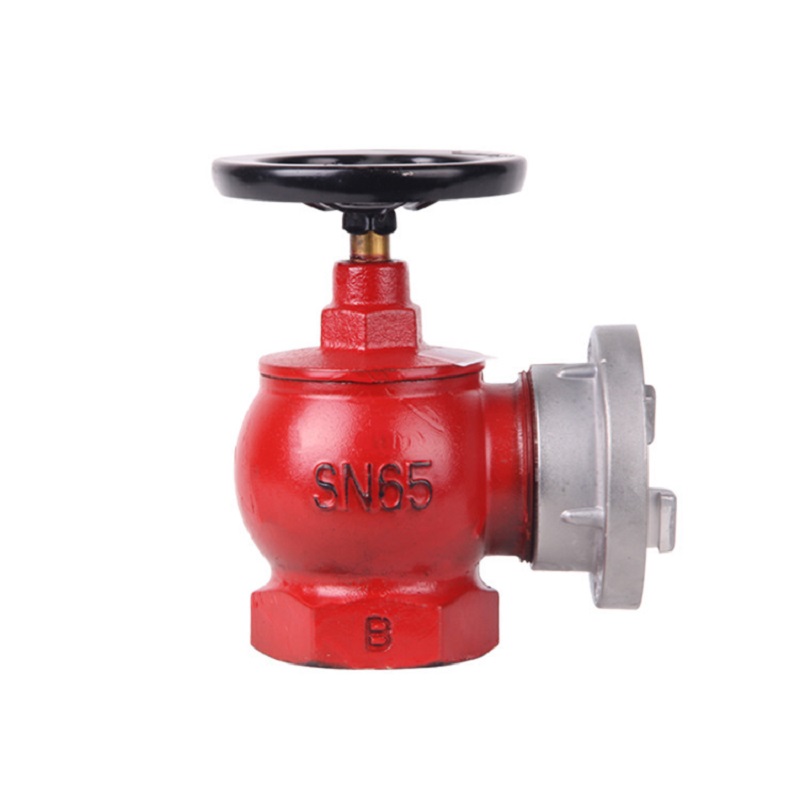 薪薪SN65室內消火栓圖片