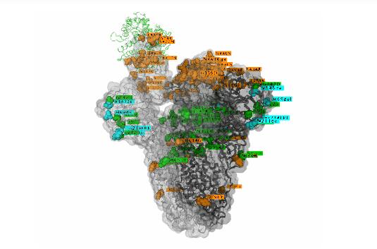 新冠病毒Omicron奧密克戎變異毒株