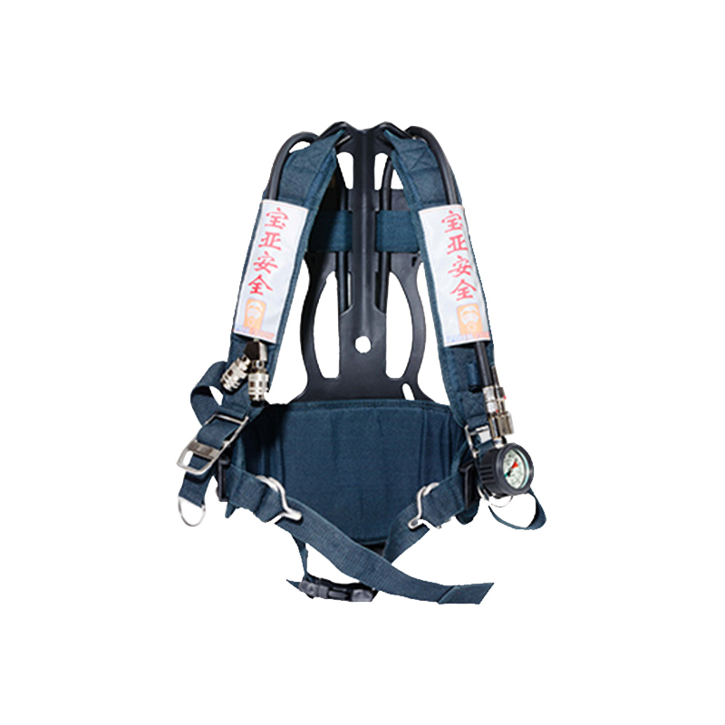 寶亞背架總成圖片