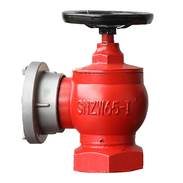 淮海SNZW65-I室內消火栓圖片1