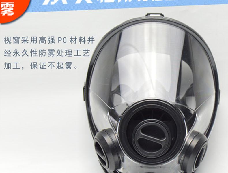 生寶M600防毒面具圖片8