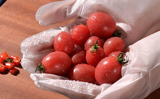 TPE手套是食品級的嗎