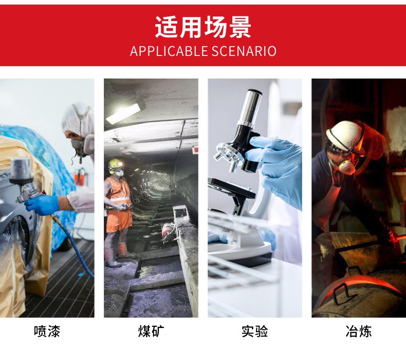 定和DH20152+8801橡膠雙濾盒全面罩防毒面具套裝10