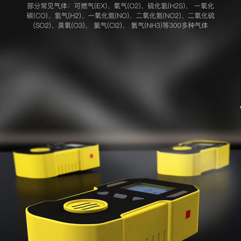 保時(shí)安BH-90便攜式擴(kuò)散式單一氣體檢測(cè)儀4.jpg