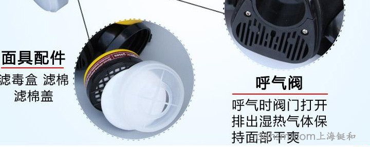 DH20154全面罩防毒面具細節(jié)圖2