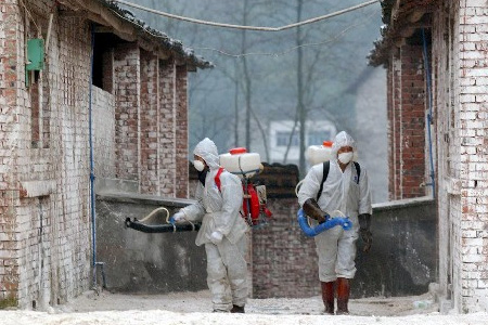 H7N9禽流感預防個人防護